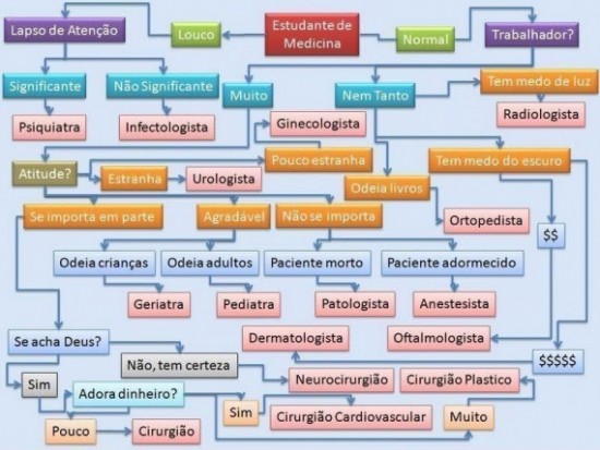 Medicina. Muitas opções. Escolha a sua especialidade