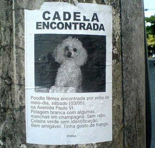 Bota no carvão e traz a cerveja.