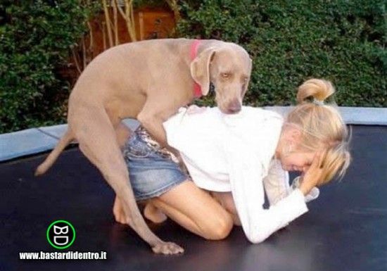 Que gene maldito! E esse cachorro que não resolve a vida! Tá todo mundo olhando, meu Deus!